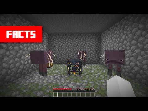 You can CHANGE Mobs in Spawners