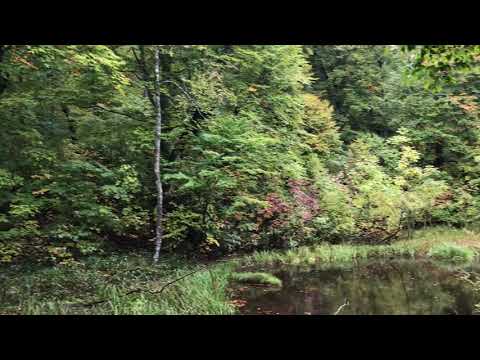 2020年10月8日 奥裾花自然園