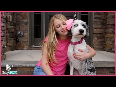 How to Be HAPPIER PARODY Marshmello ft. Bastille