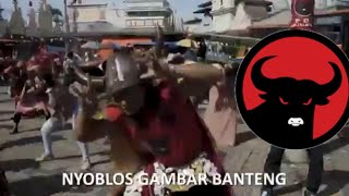 Cover art for Banteng Merah