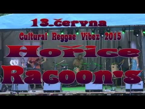 Cultural reggae Vibez 2015  - Racoon's
