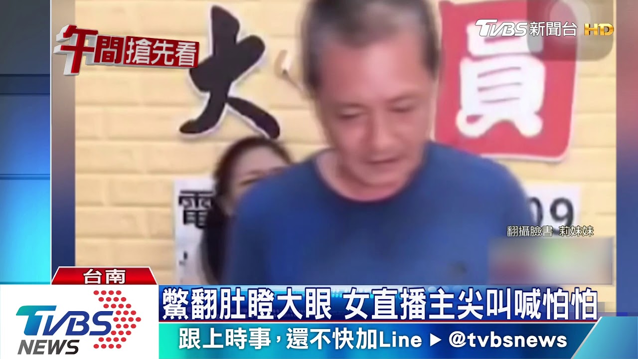 「海鰻」想逃脫　直播正妹驚嚇狂飆海豚音