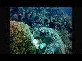 CALL OF THE ANCIENT MARINER Film Trailer