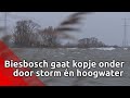 Door de storm en hoogwater zal het water door de Noordwaard gaan stromen