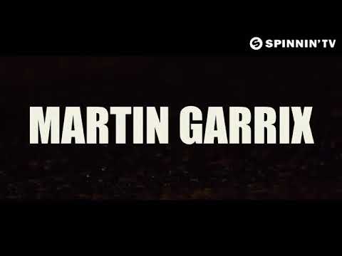 Martin garrix animals