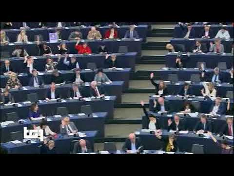 §.1/- (copyrIght europeo) TG1 26 marzo 2019 - direttiva approvata dal Parlamento EU