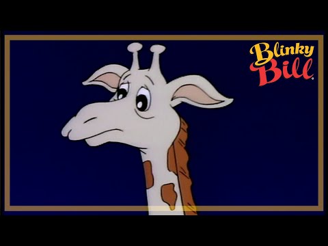 BLINKY BILL AND THE STRANGE KOALA - Episode 14 - The Adventures of Blinky Bill