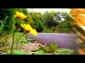MARK KNOPFLER & CHET ATKINS JUST ONE TIME (1 for ever )