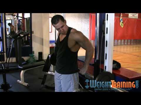 Behind Back Smith Machine Shrug