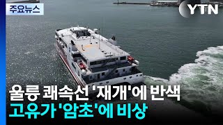 울릉 쾌속선 '재개'에 반색...고유가 '암초'에 비상 / YTN