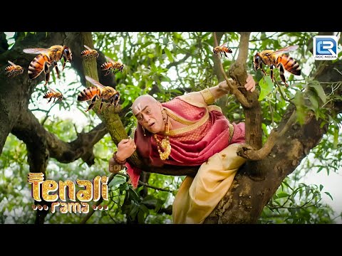 घने जंगल में कैसे तथाचार्य हुवे मधुमखी का शिकार ? | Tenali Rama | Comedy Series | New Full Episode