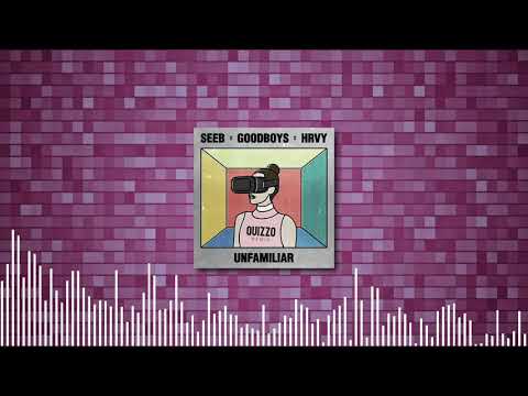 Seeb x Goodboys x HRVY - Unfamiliar (QUIZZO Remix)