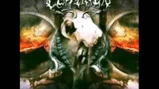 Centinex-Flesh is Fragile