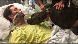 Dog Says The Final Goodbye to his  Dying Owner In Hospital