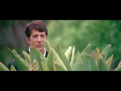 Thumbnail for 1967 The Graduate 4 | Regret | Scarborough Fair | Simon & Garfunkel by The Sound, lovin', R.E.M., L.A.B., Paul Simon, Simon and Garfunkel, Peggy Seeger, Ewan MacColl, Martin Carthy, Concert, Mark Anderson, Simon & Garfunkel