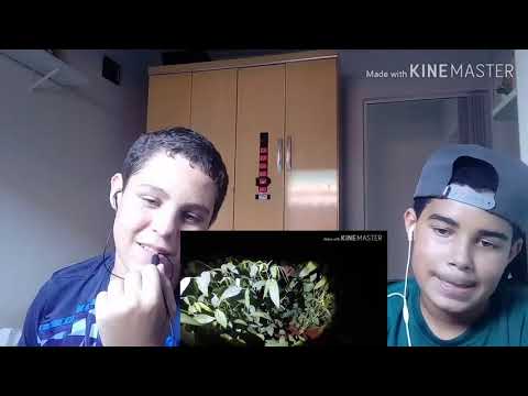 React o apicultor 2 (vlogueirando!!!#16)