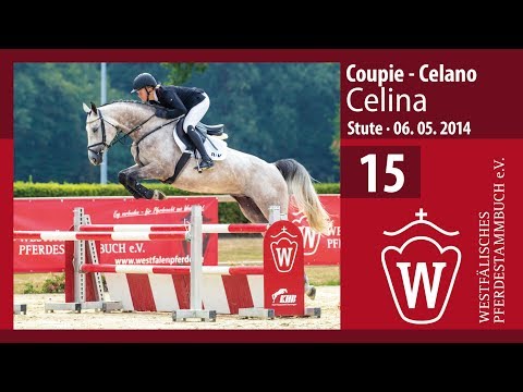 15 Celina  Stute v. Coupie - Celano