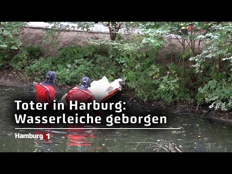 Toter in Harburg: Wasserleiche aus Außenmühlenteich geborgen