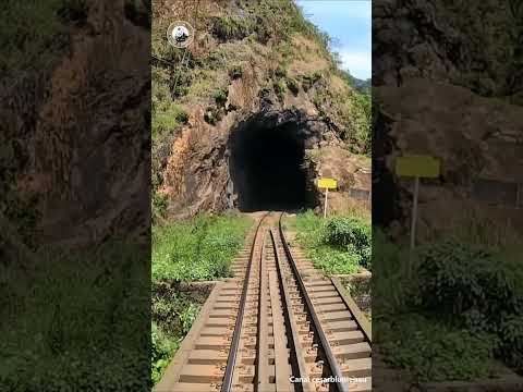 🇧🇷 Atravessando o Viaduto Carvalho / Crossing the Carvalho Viaduct - Morretes/PR - (Brasil) #shorts