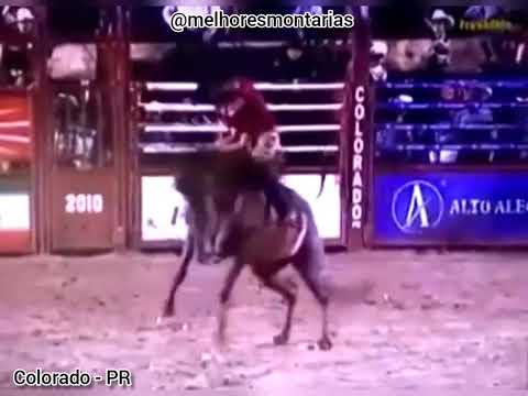 ZEIUS CRUZ FONSECA X PROSA CAIPIRA - RODEIO DE COLORADO