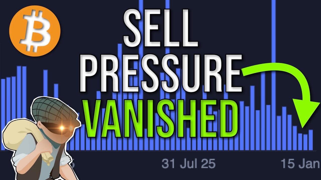 Wait WHAT?! Whales Actually Are Flipping Bullish... Crypto Update #106