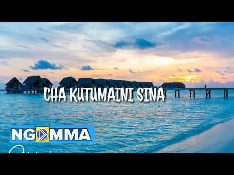 Thumbnail for Chakutumaini Sina video
