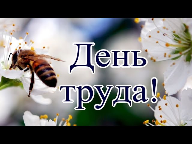 Альбом: Праздники