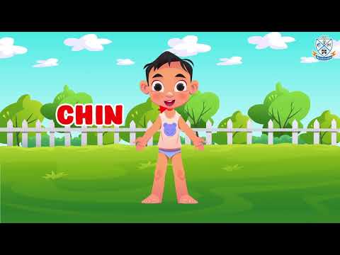 My Body Song + More Nursery Rhymes & Kids Songs