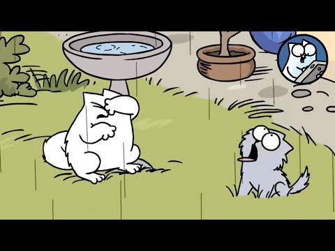 Total Kitten Chaos | Kitten Colour Episodes | Simon's Cat Extra
