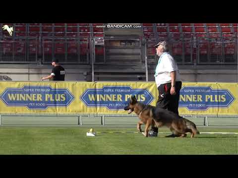 1024 Nolan v  Haus Ruggiero - TSB BSZS-2023 - nichtgenügend