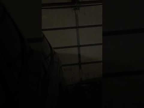 Erie PA Winter Storm Day After Christmas 2017