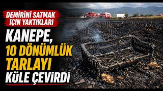 Demirini Satmak İçin Yaktıkları Kanepe, 10 Dönümlük Tarlayı Küle Çevirdi