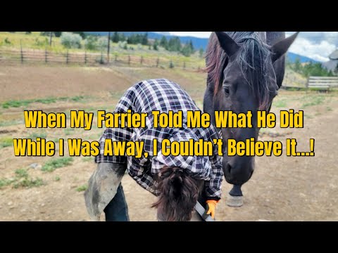 First Rudnik Visit After Being Away Across The Country For A Week - Lots To Catch Up On!