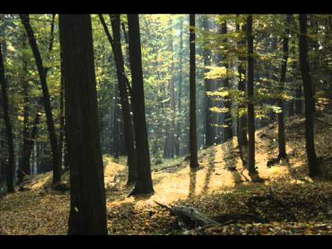 Čápi už nemaj stání - after Karel Gott