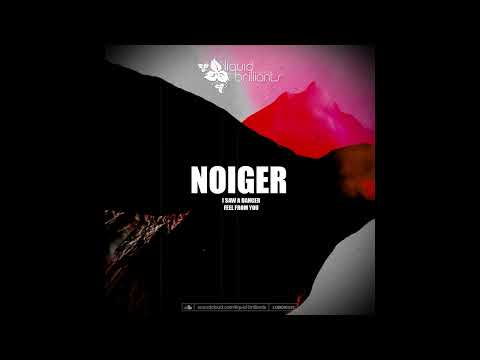 Noiger - I Saw A Danger [Liquid Brilliants 533]