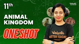 Animal Kingdom ONESHOT | Class 11 Biology | CBSE 2024 |🔥 Nivetha ma'am