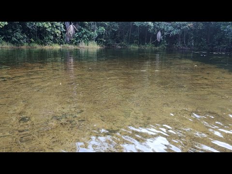 Voltando do rio Paquetá em Guimarães Ma