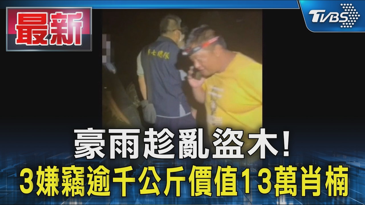 豪雨趁亂盜肖楠! 鋼索拉695公斤巨木 嫌辯不知道 遭警秒抓