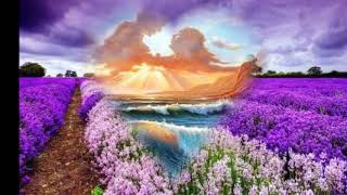 290718  Glen Campbell: Gotta Have Tenderness