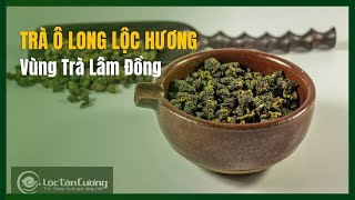 Cách Pha Trà Ô Long Lộc Hương