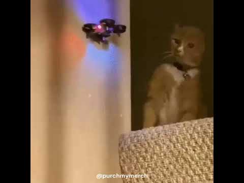 GET THAT DRONE OUTTA MY FACE | โpurchmymerchโ ๐
ผ๐
ด๐
ผ๐
ด