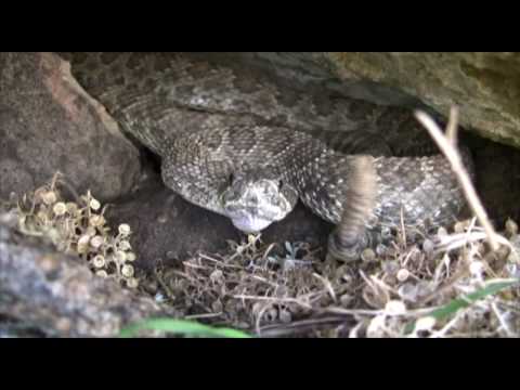 YouTube Video itGoQV7d2o0