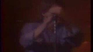 molly hatchet-stone in your heart