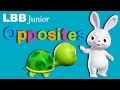 Opposites Song Original Songs By LBB Junior