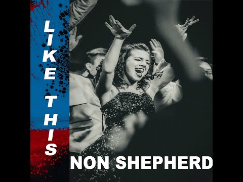 Non Shepherd - Like This (Official Video)