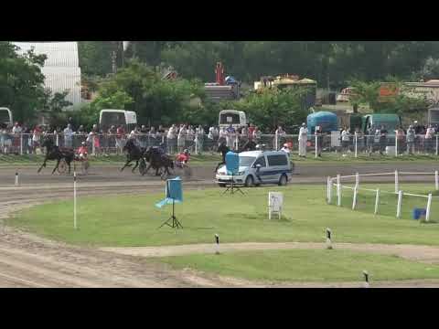 Trka "Doroti I.T. 2003" 28.06.2020  Christi Aguilera A.T. - Mirko Oračić