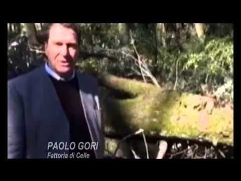 2015-03-07 - MALTEMPO- DEVASTATO PARCO E SCULTURE DELLA FATTORIA DI CELLE A PISTOIA