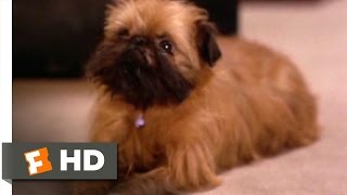 As Good as It Gets (2/8) Movie CLIP - Verdell the Dog (1997) HD