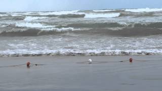 preview picture of video 'Cebeci - Kocaeli dalgalı deniz'