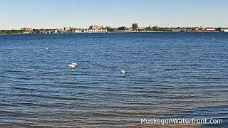 🔴 LIVE: Muskegon Lake, North Muskegon Lakefront (Michigan) live webcam